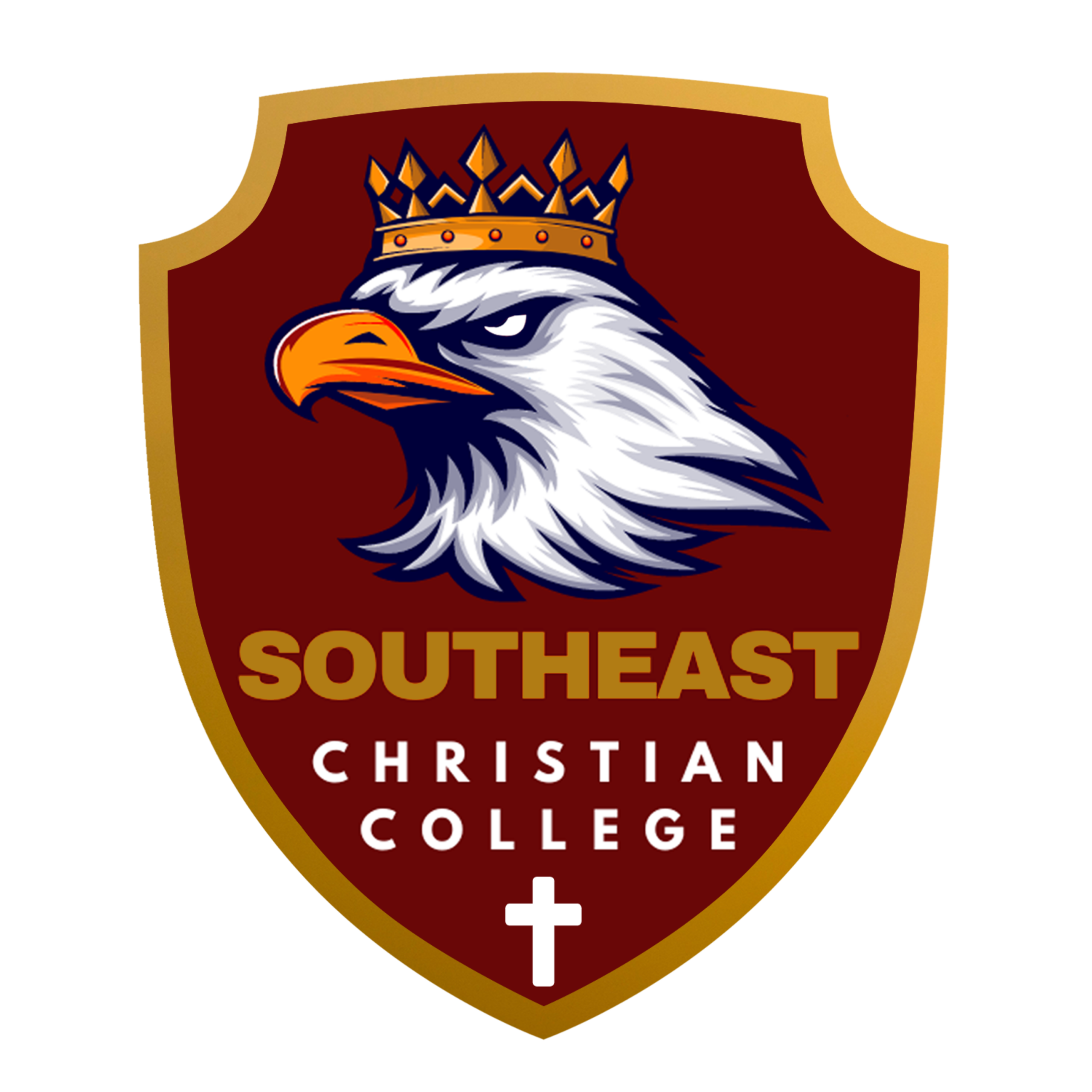 Women's Volleyball Coach